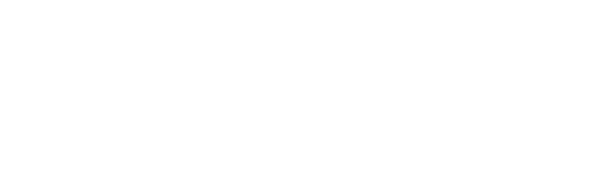 Invictus Lead Generation GmbH